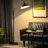 HOMCOM Floor Lamps for Living Room, Industrial Standing Lamp with Balance Arm, Adjustable Head, 31.5"x11.75"x65", Black